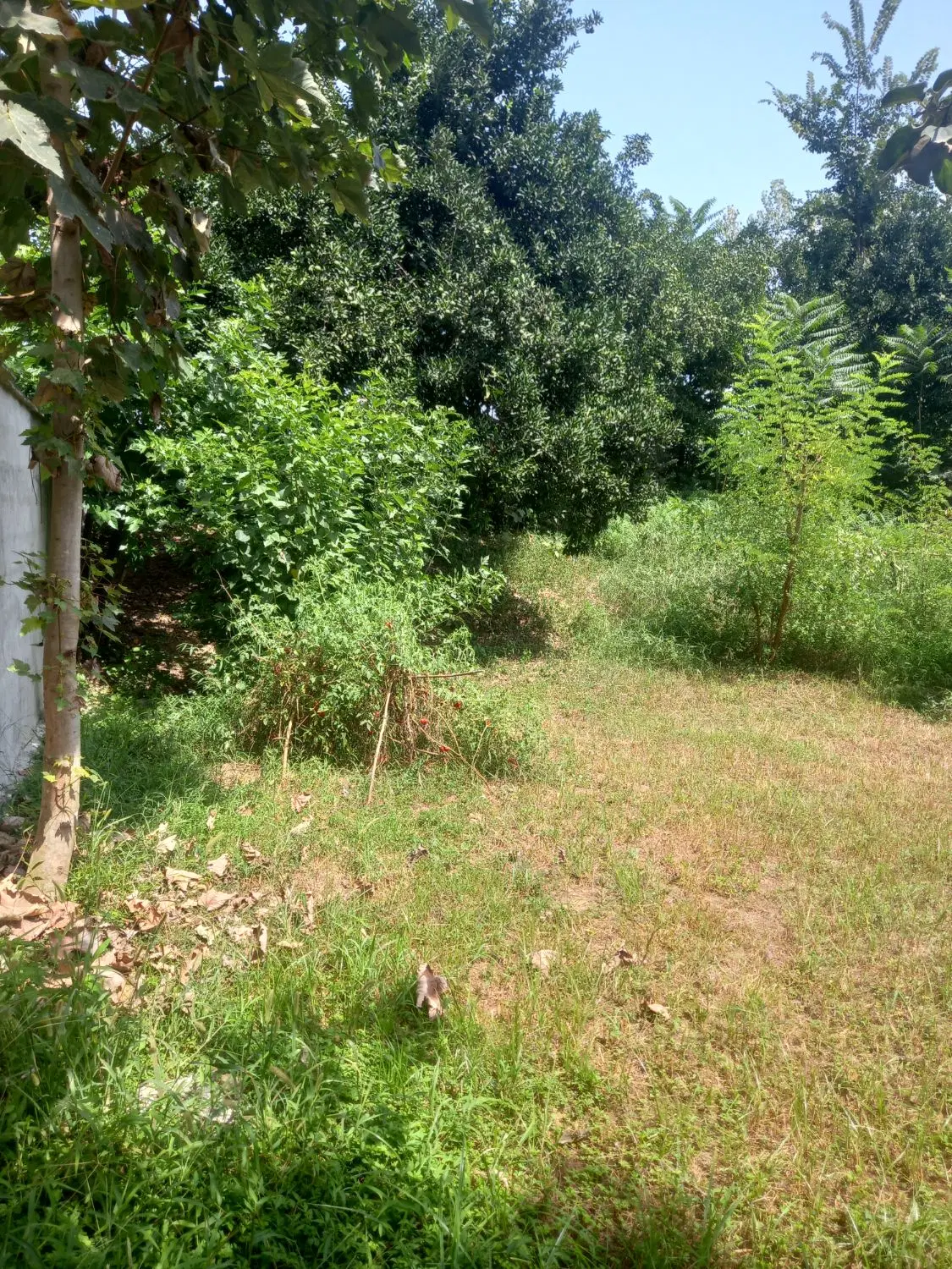 ۲۲۵ متری کاملا مسکونی کوهپایه ای