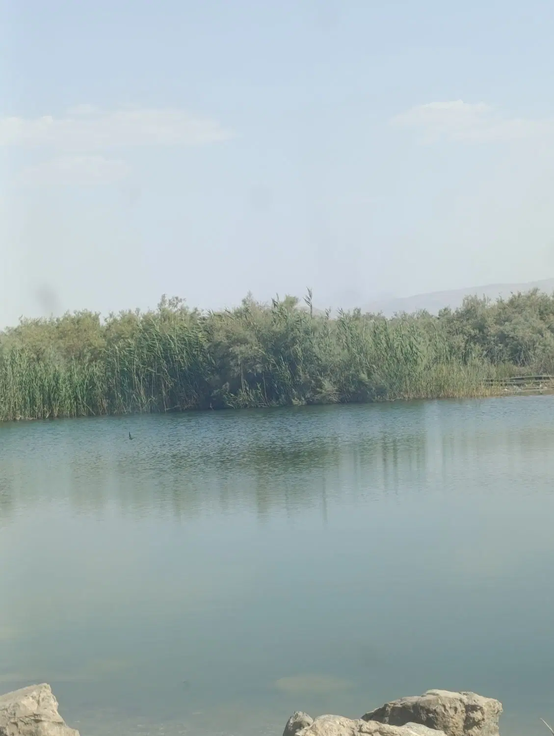 باغ شهری
