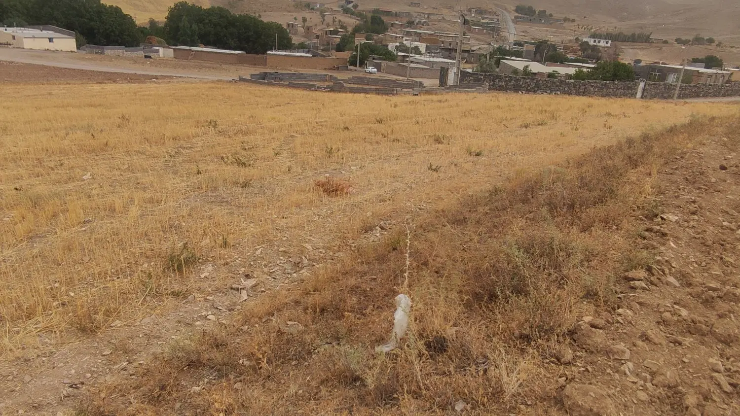 زمین