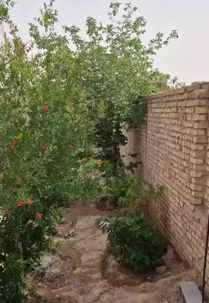 باغچه فروشی