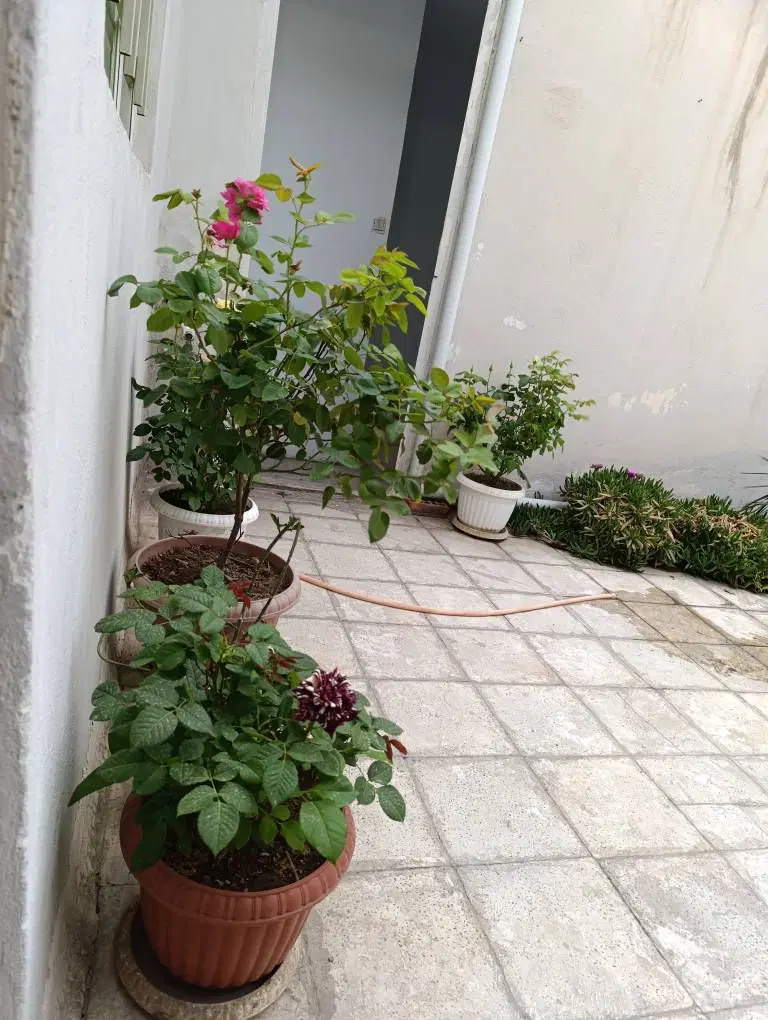 اجاره واحد 120متری دوخواب