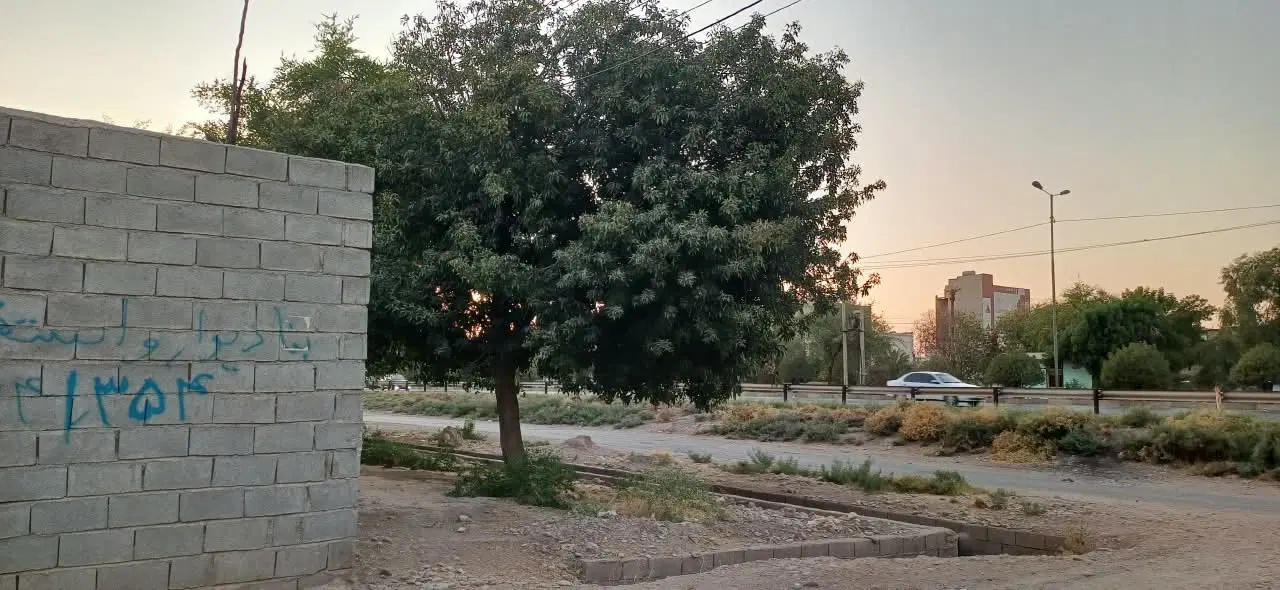 باغچه سر جاده خوشبختی