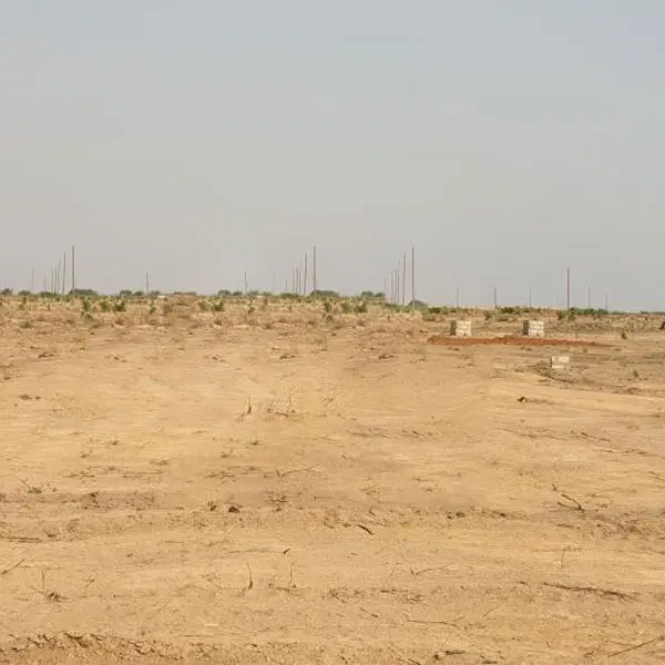 زمین
