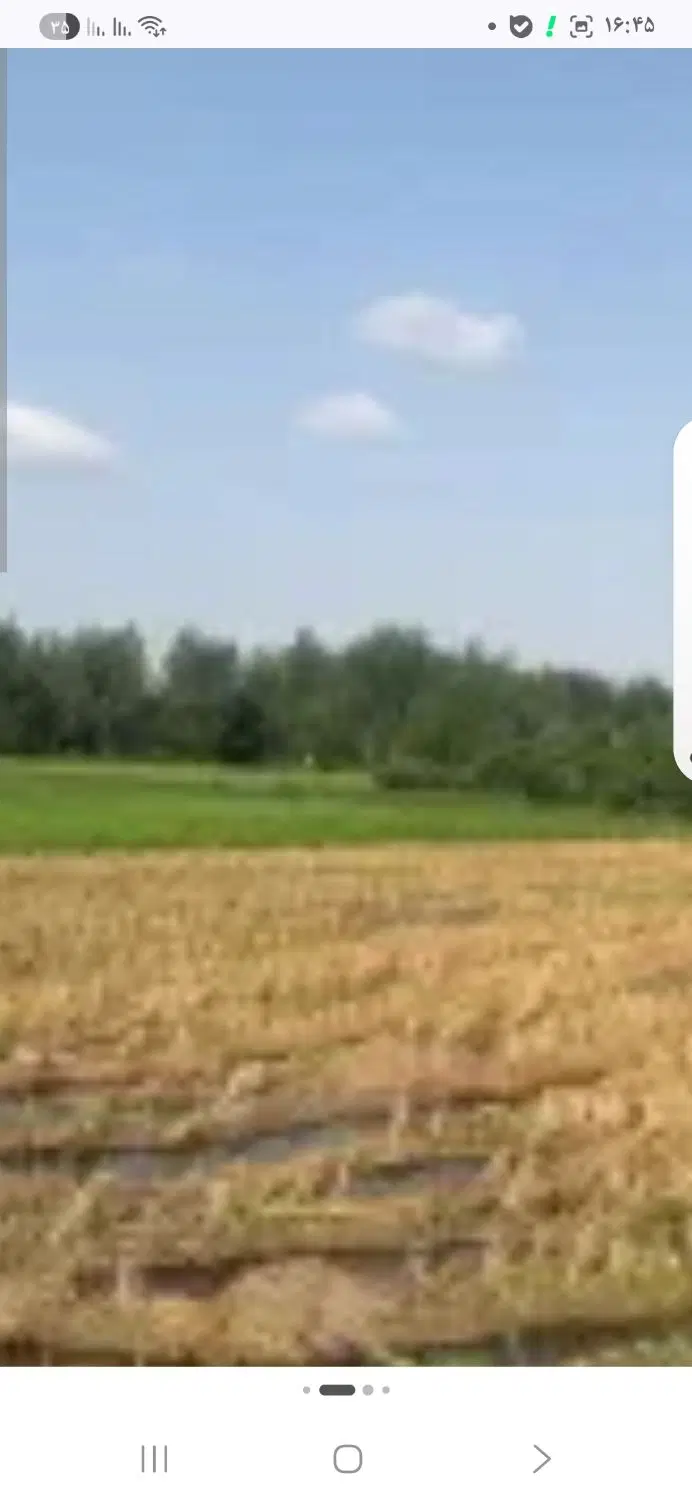 شهریار ملارد