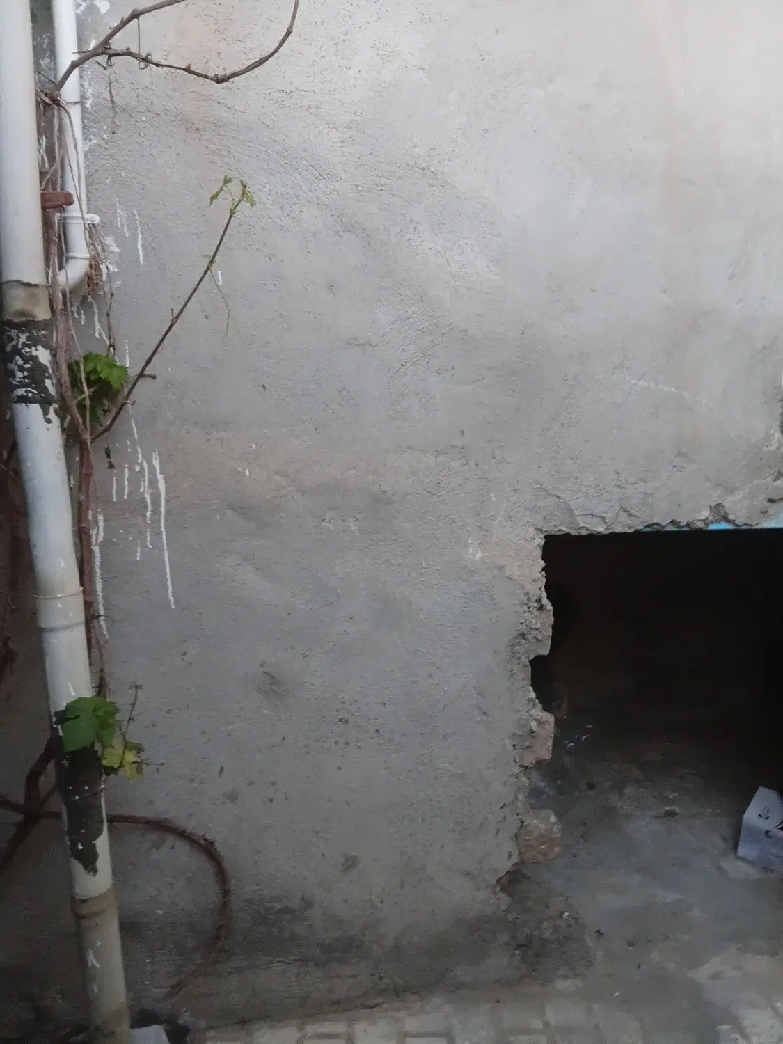 خانه اجاره ای  در کانی کوزله