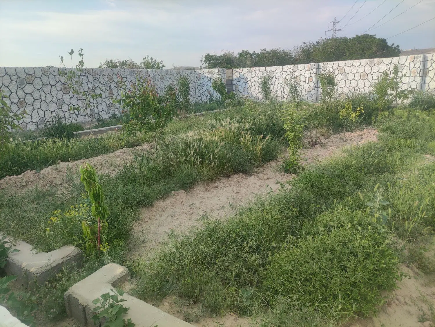 باغچه ویلایی خسروشاه