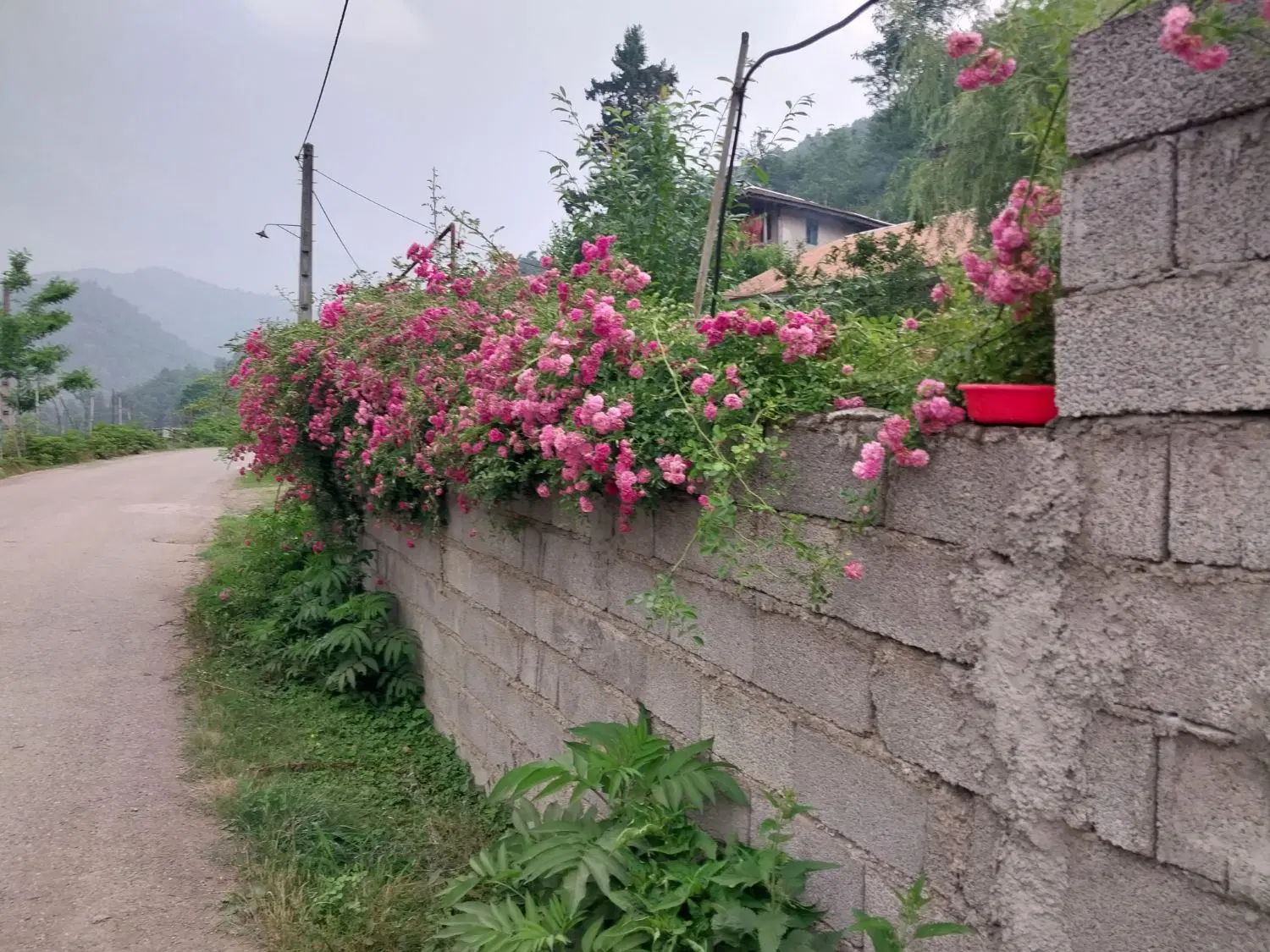 خانه اجاره ای در بلوکات،رو به روی امامزاده هاشم