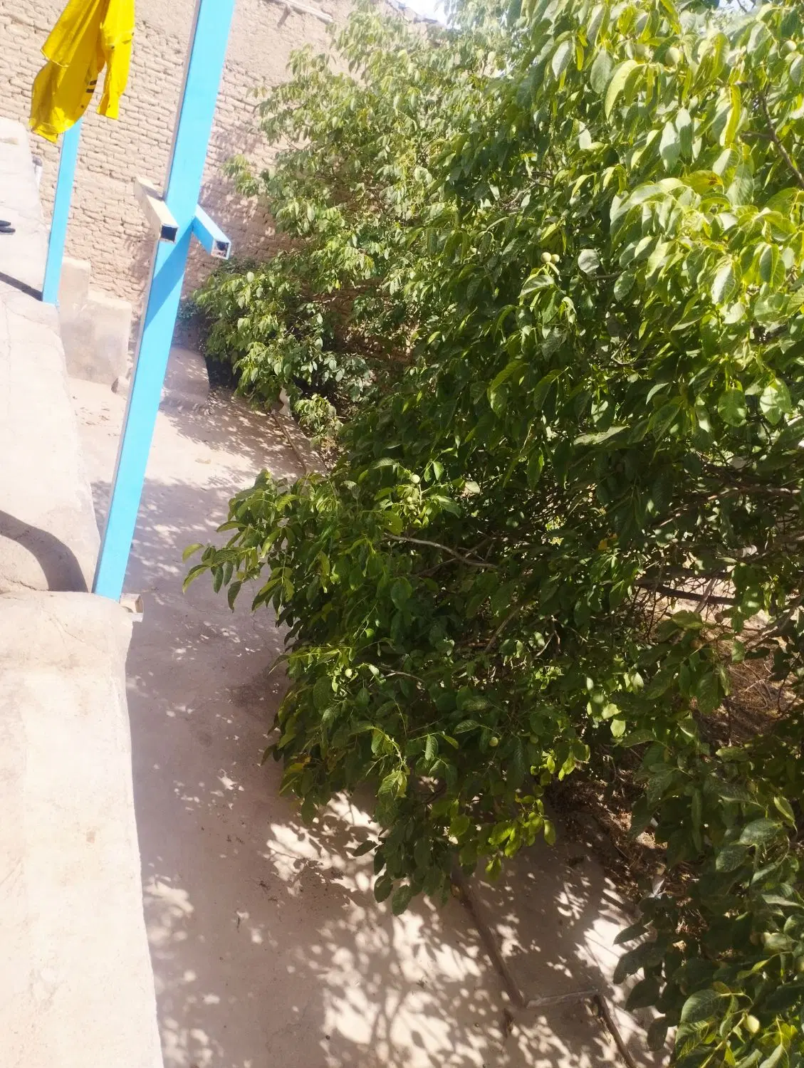 خونه در روستی ملیان اقای پروانه