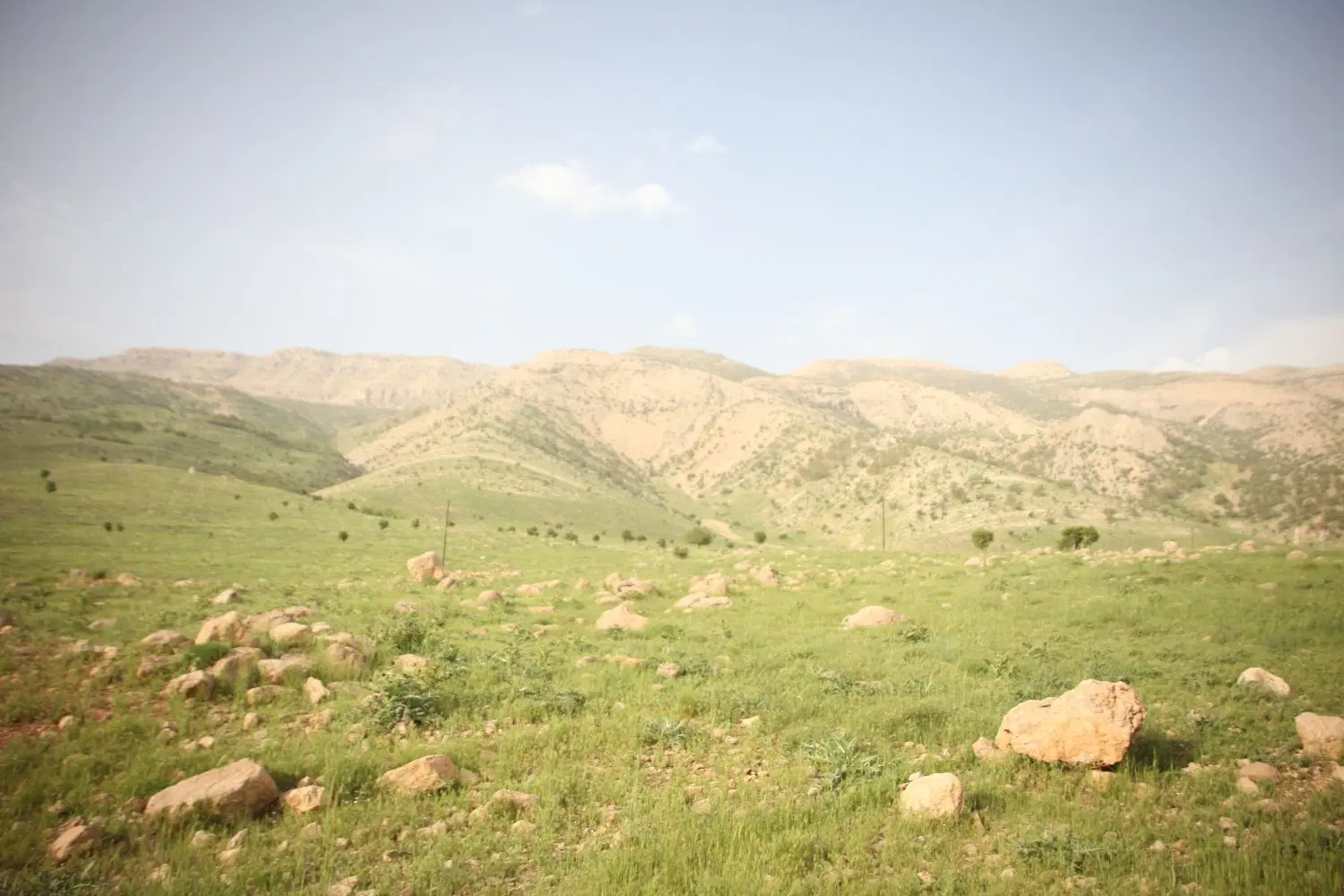 اجاره زمین کشاورزی برا صیفی جات