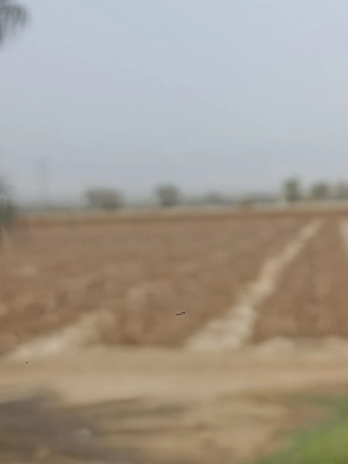 زمین سرخون