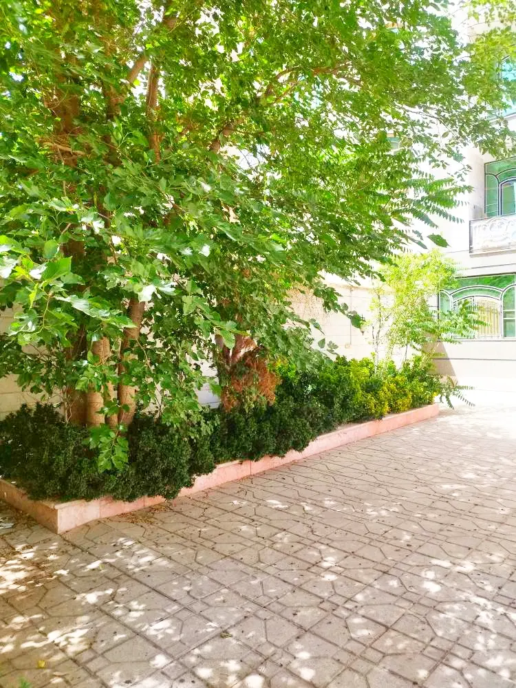 آپارتمان ۵۴ متری