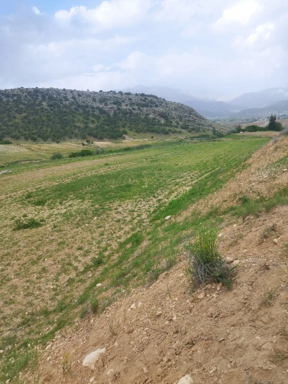 زمین مختار