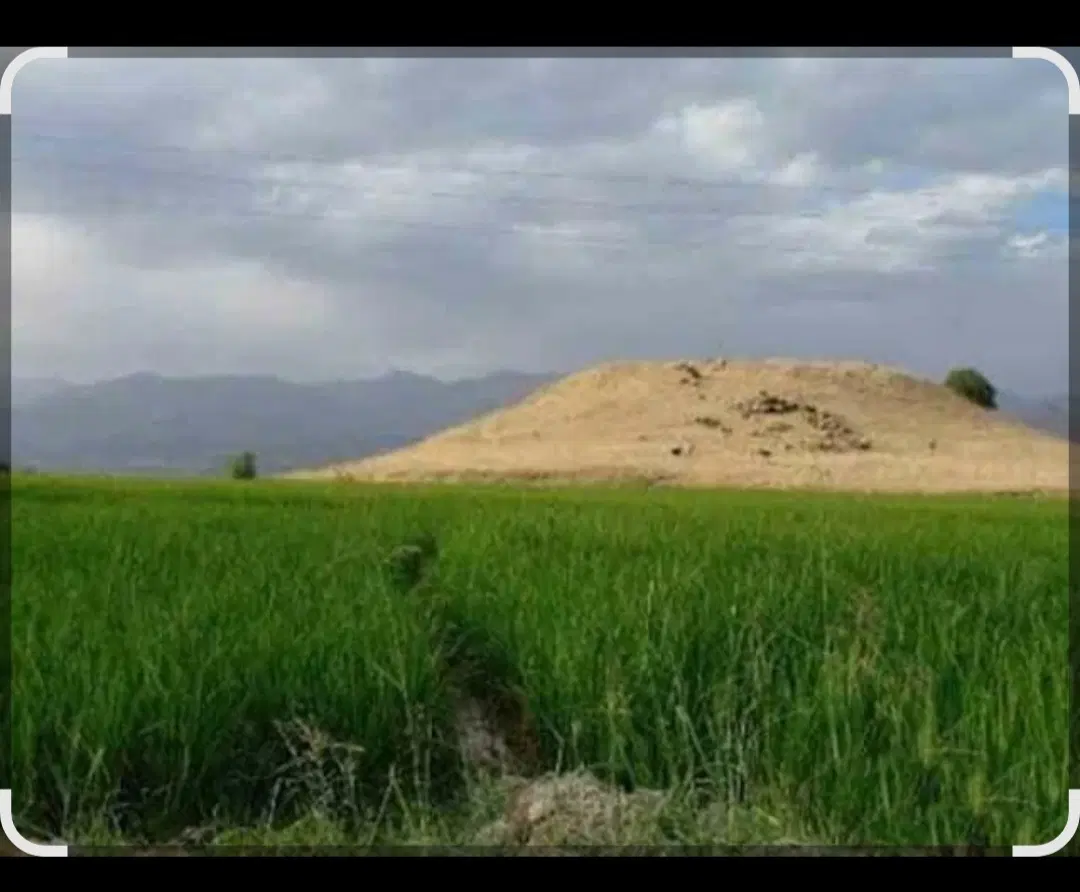 زمین نرگاه خیابون سینره متراژ265