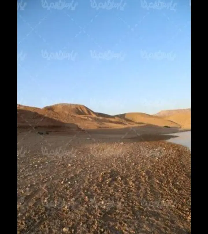 زمین  ترمینال