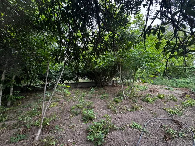 750 متر(سه قطعه پلاک بندی شده)ساری روستای همت اباد