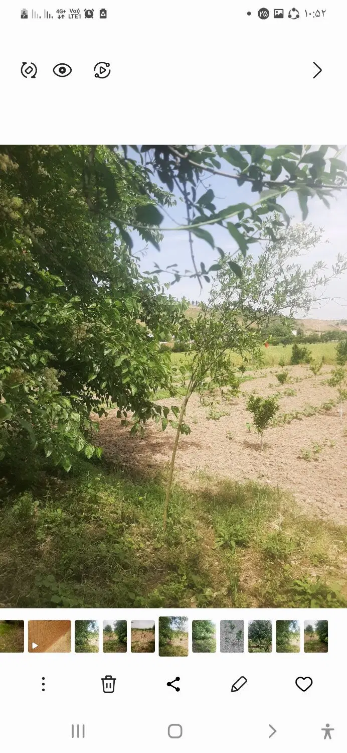 باغ ۳ساله در روستای باغ گلبن