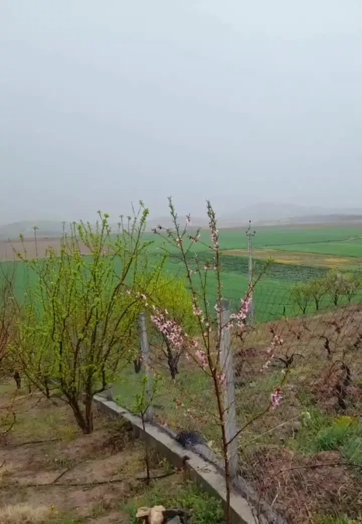 مینی باغ نزدیک شهر