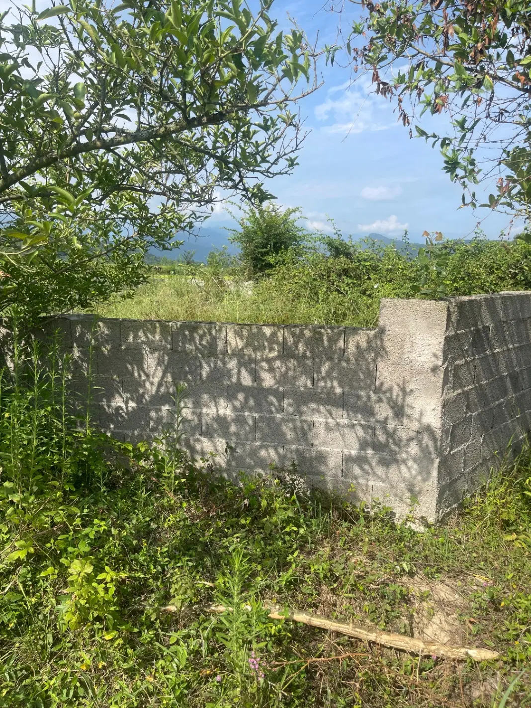 ۳۰۰ متر زمین مسکونی