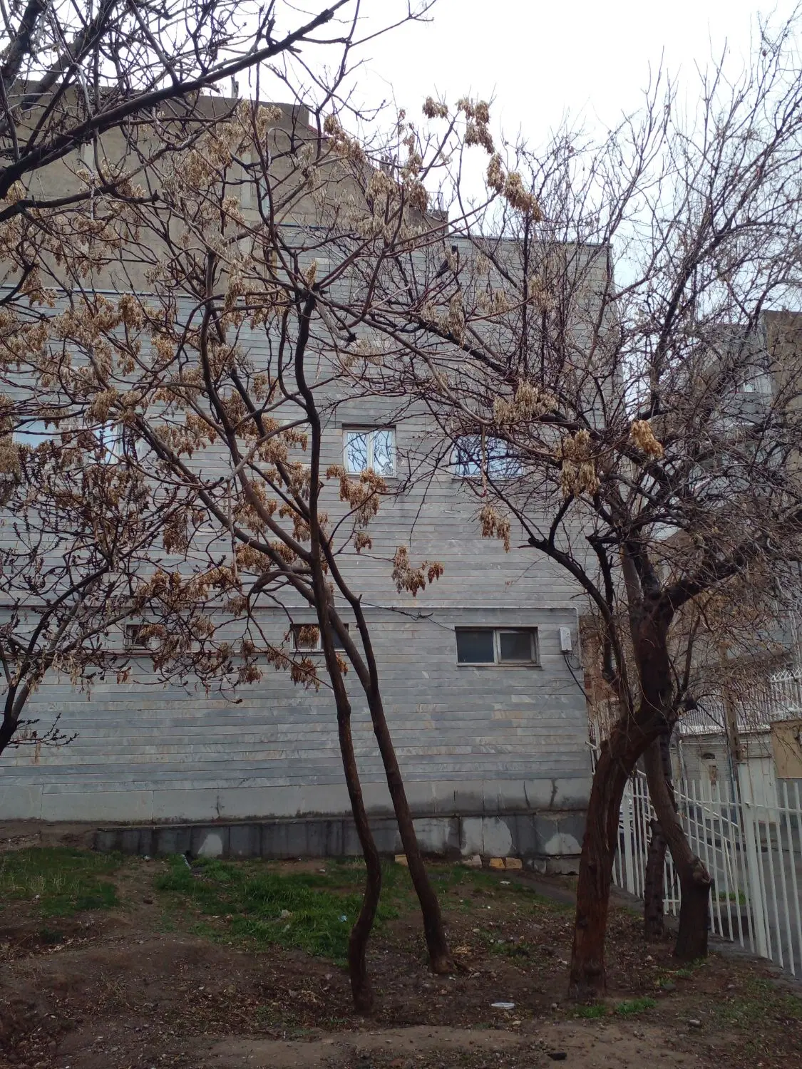 اجاره طبقه همکف منظریه