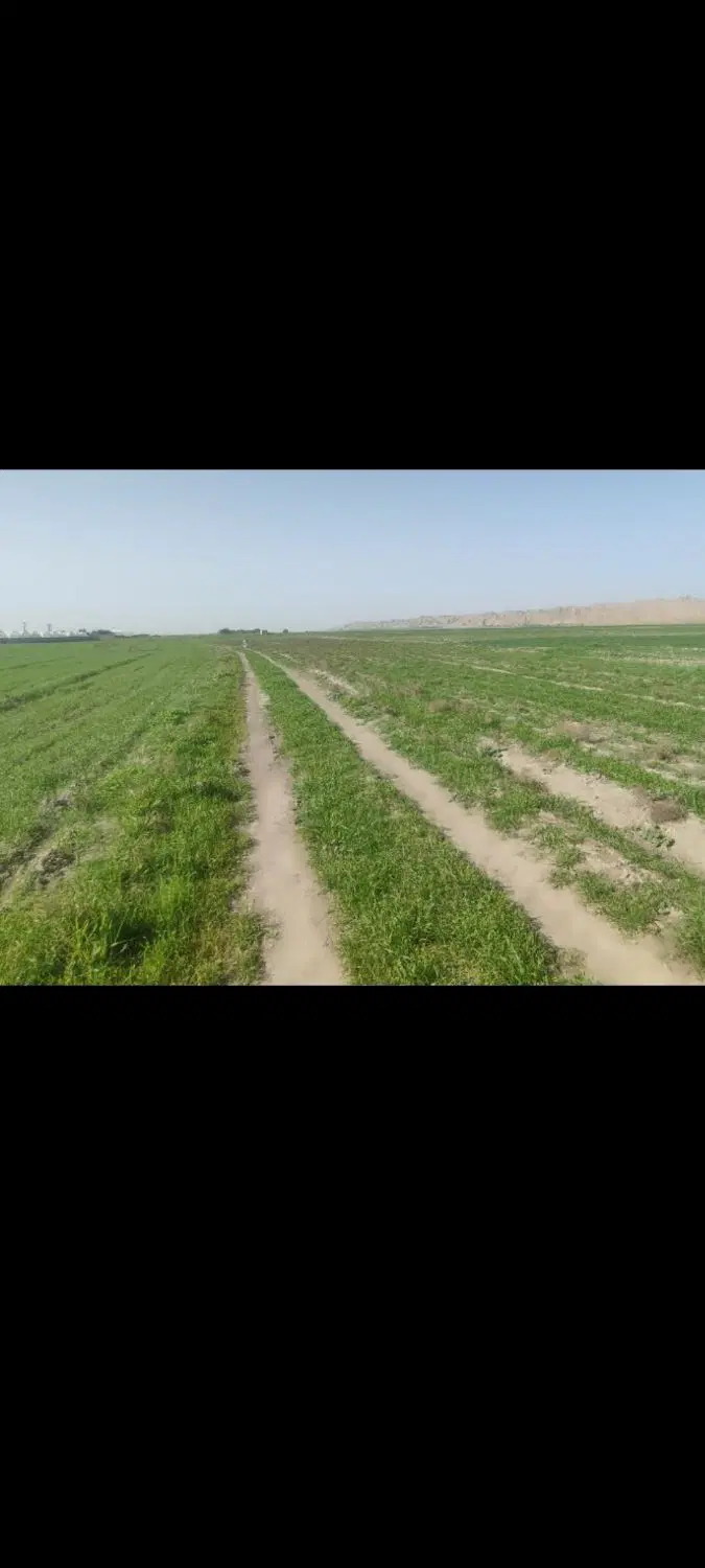 فروش ۵۰۰متر زمین سر چشمه دوم