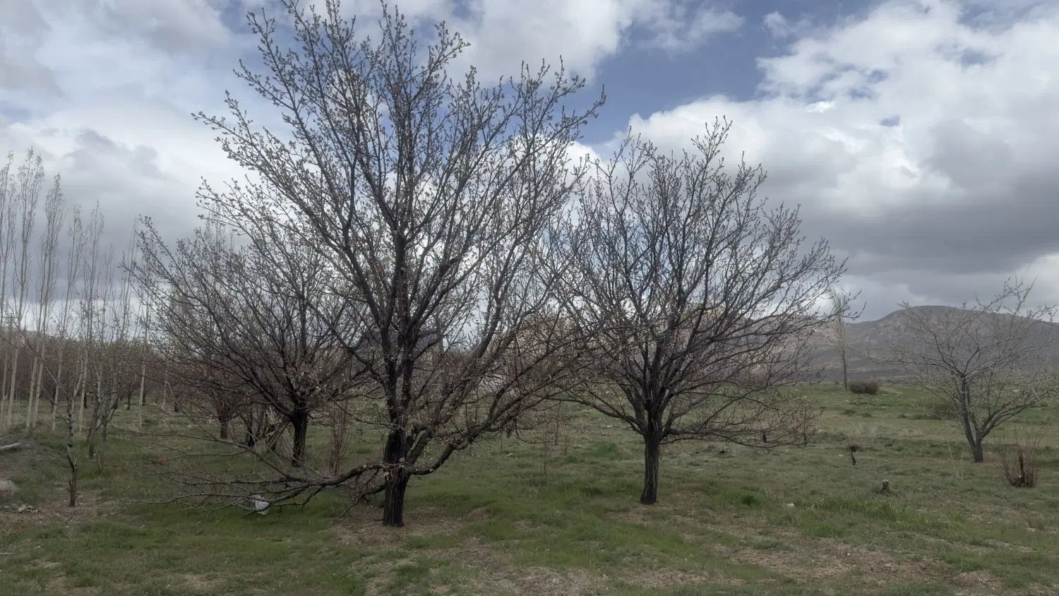 زمین سربیژن قصبی ۳۰ تا ۷۰ تومن متناسب با بودجه شما