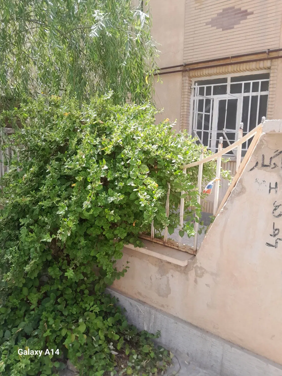 آپارتمان اجاره