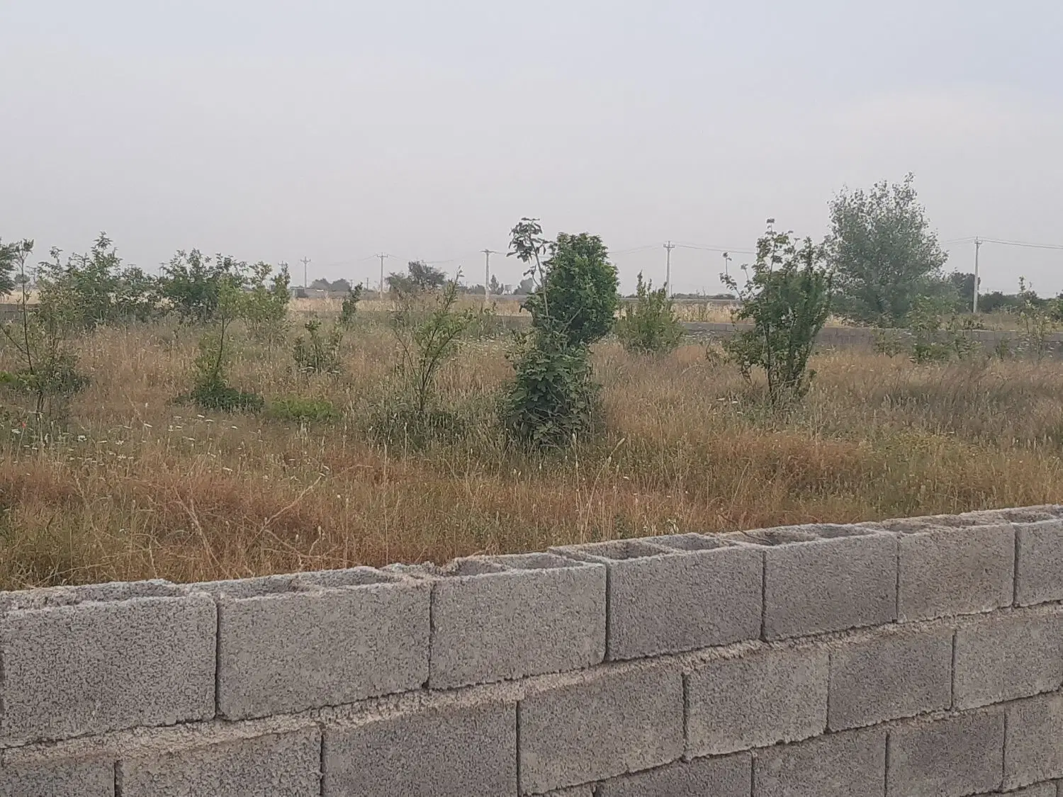 باغچه۵۰۰متری.جاته