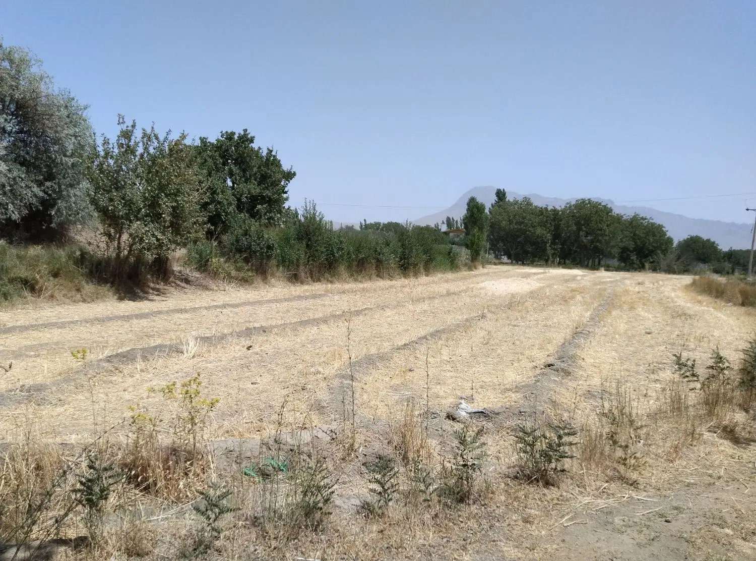 زمین کشاورزی زینل آباد