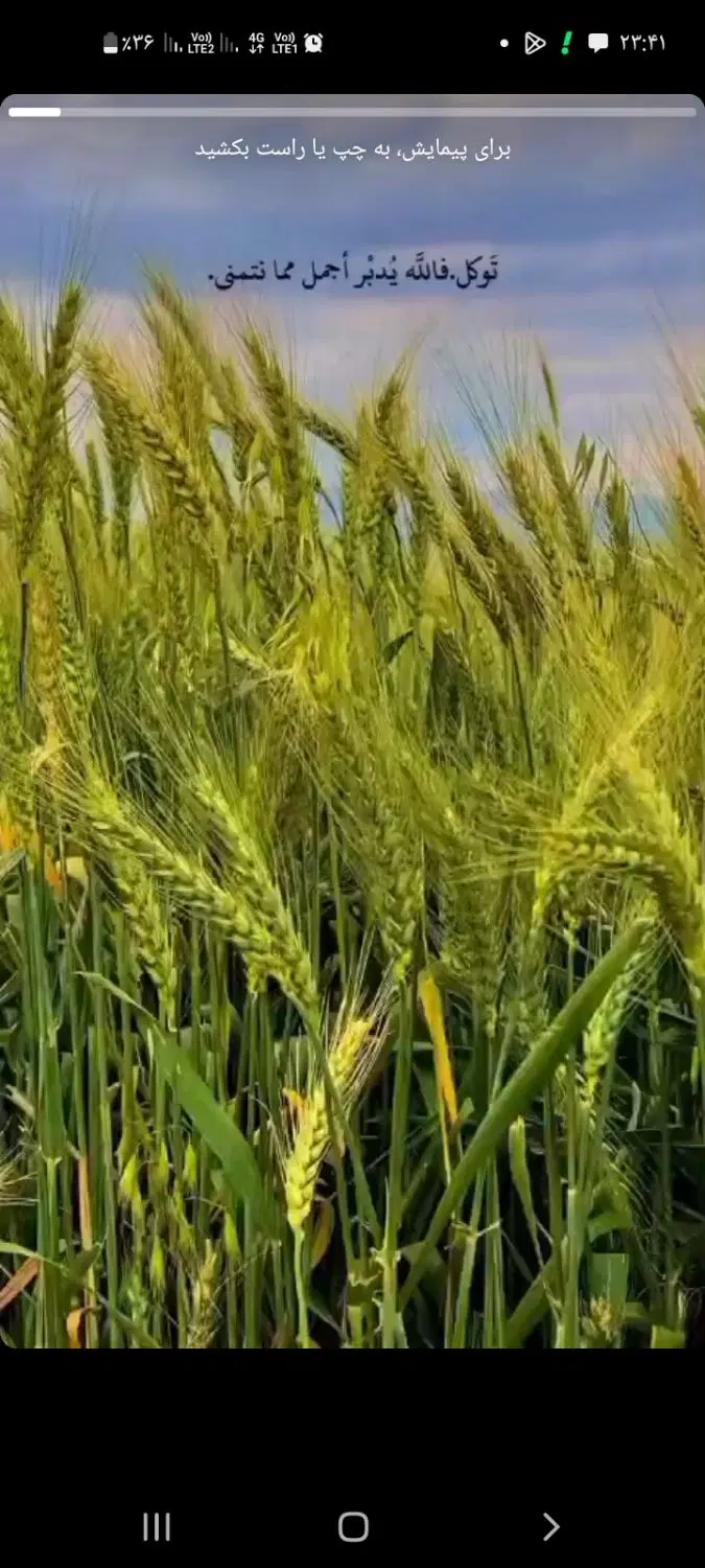فروش زمین ۲۰۰ متری سر دونبش انتهای شکاره ۲