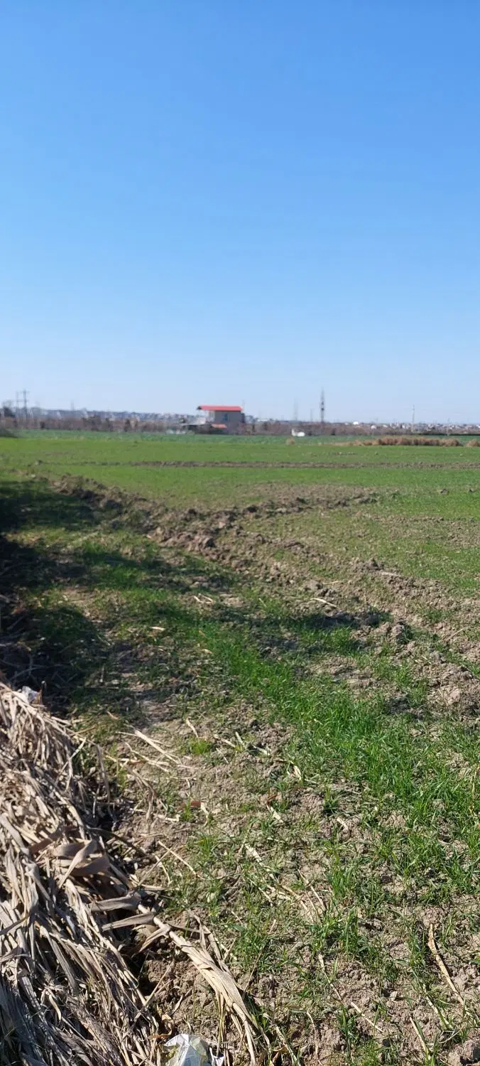 فروش زمین  روستای سیاهتلو