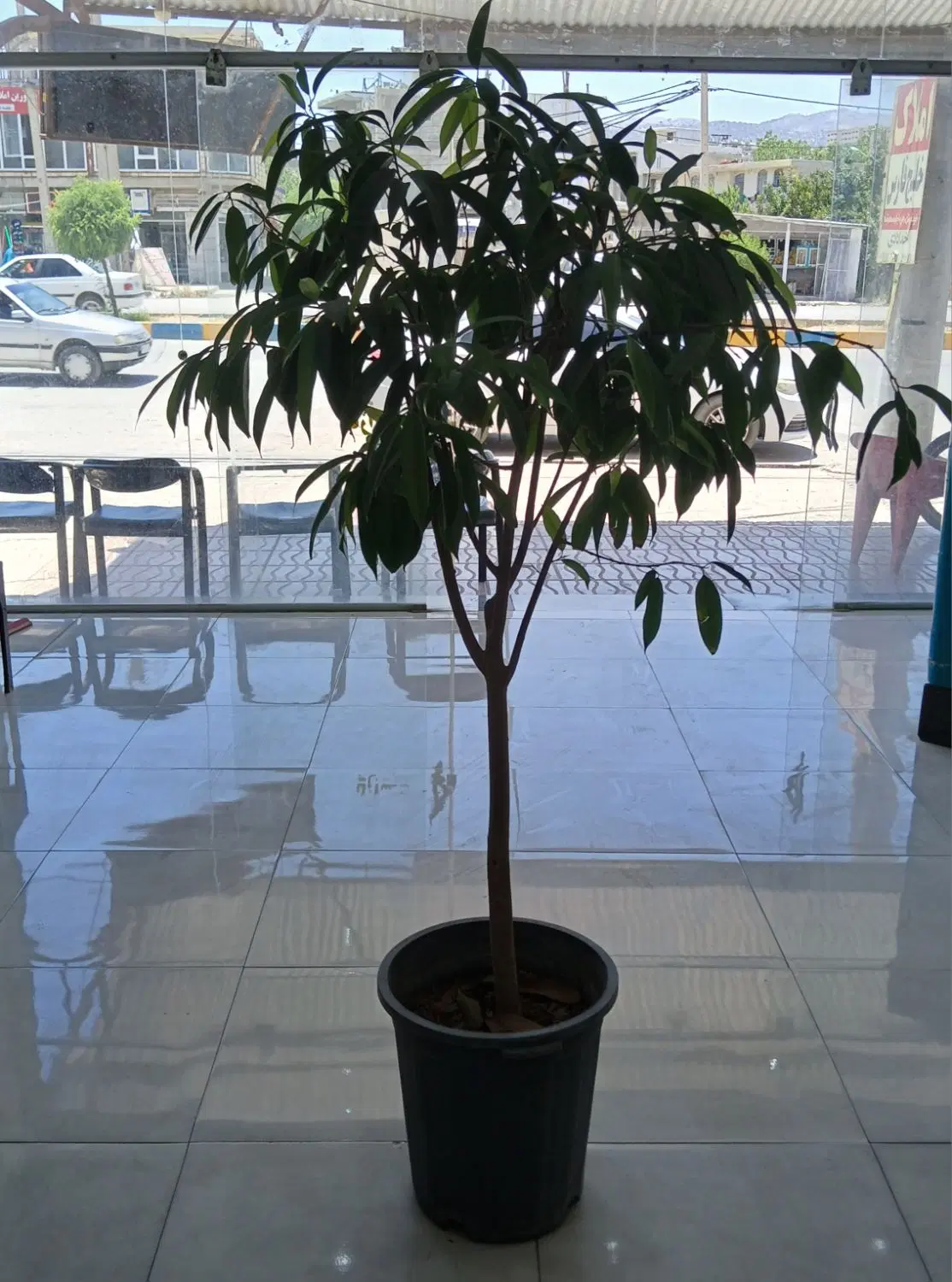 سند دار سرابتاوه