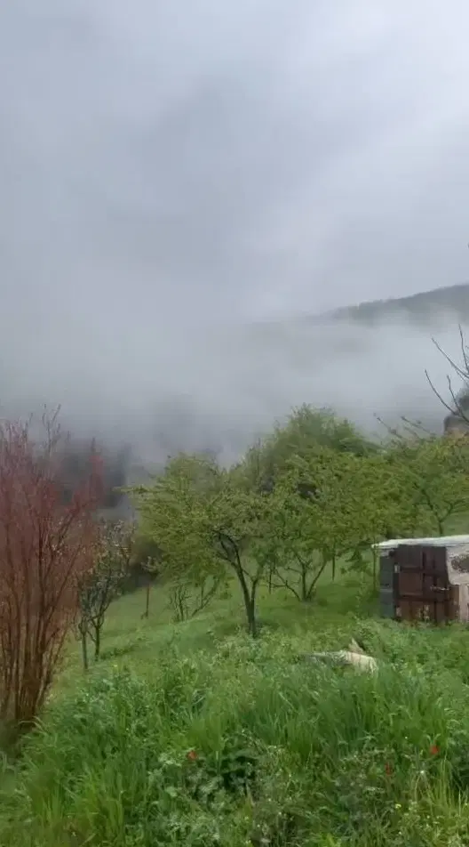 باغ میوه در کنار رودخانه سند دار