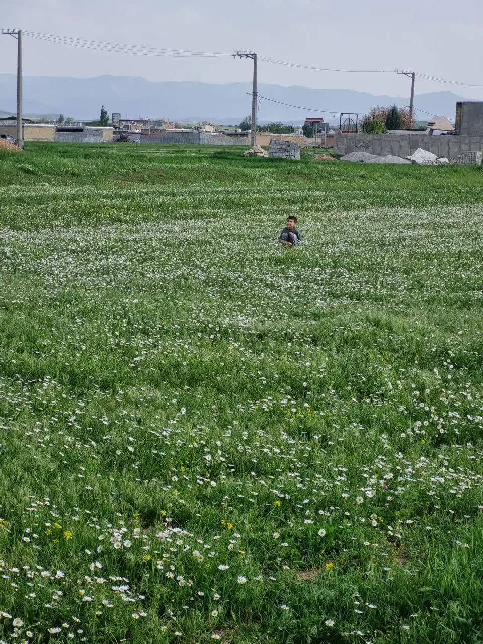 زمین کشاورزی