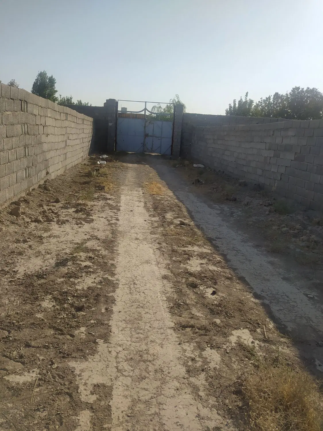 زمین باغچه چهاردیواری
