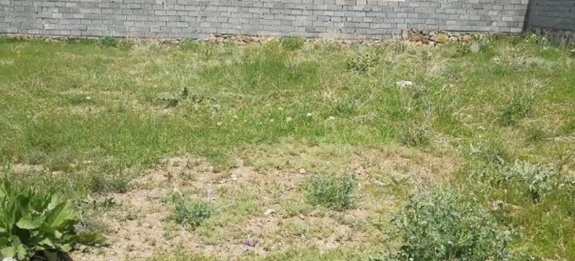 زمین آس تو رامسر