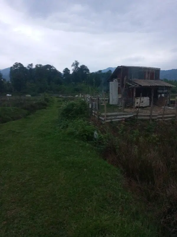 ۴۵۰۰متر زمین در چماچا فروشی