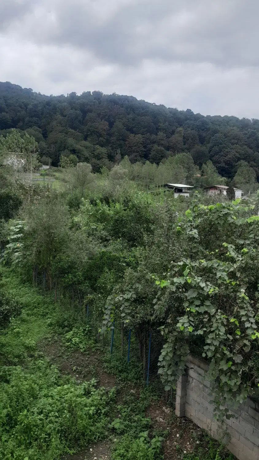 ۳۰۰ متر زمین سند دار مسکونی در منطقه‌ی جنگلی