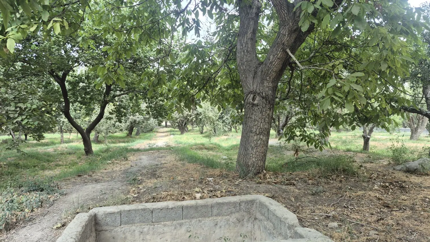 ۴۵۰متر باغ آباد و سرسبز_دو دسترسی_میدان نماز