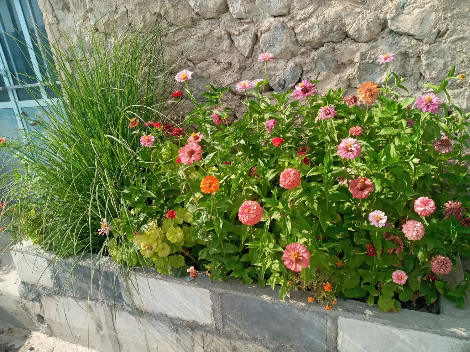 خانه  اجاره  و  رهن