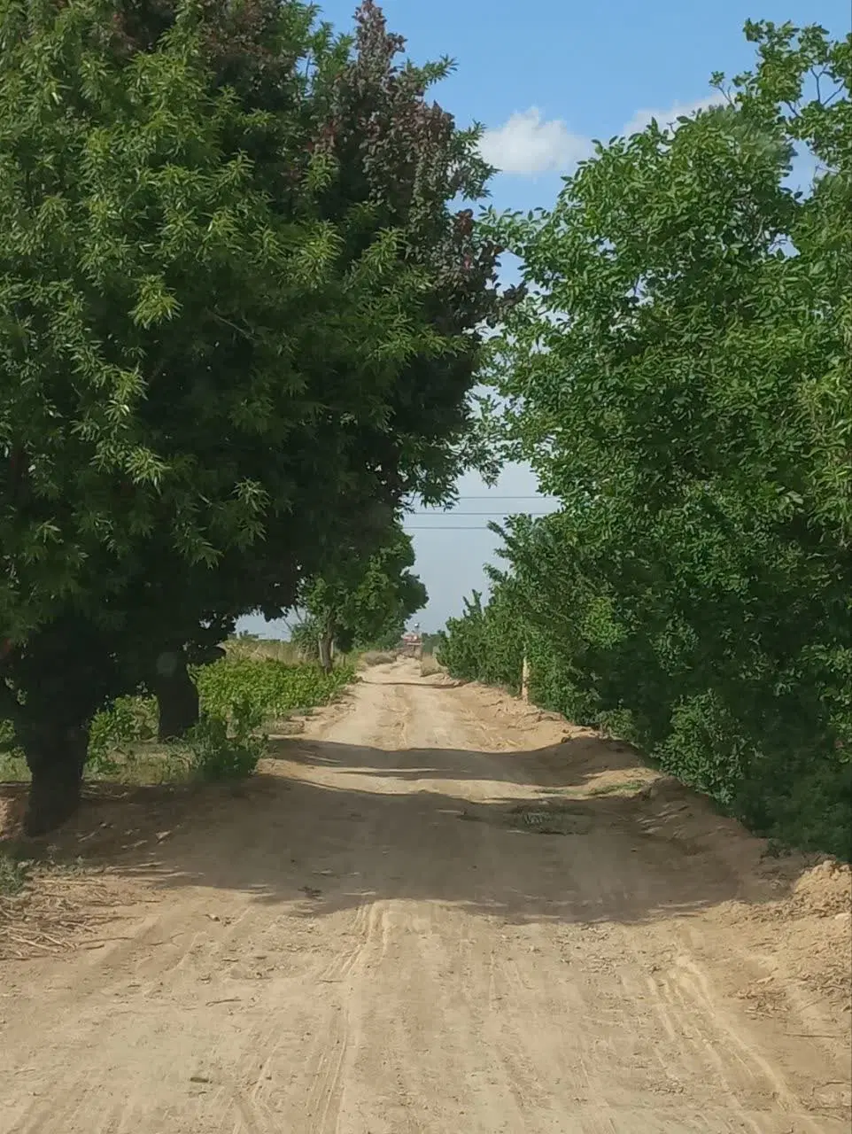 ۱۵۰۰متر زمین بابنای۲۰متری به قیمت کاسبی