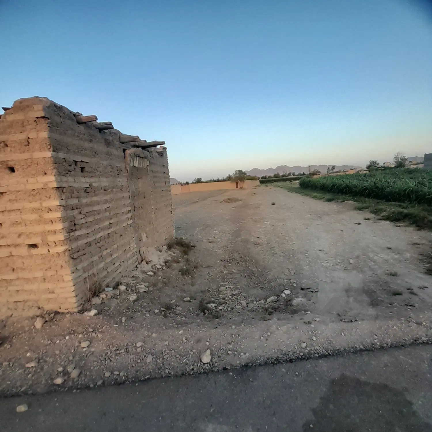 فروش زمین کشاورزی