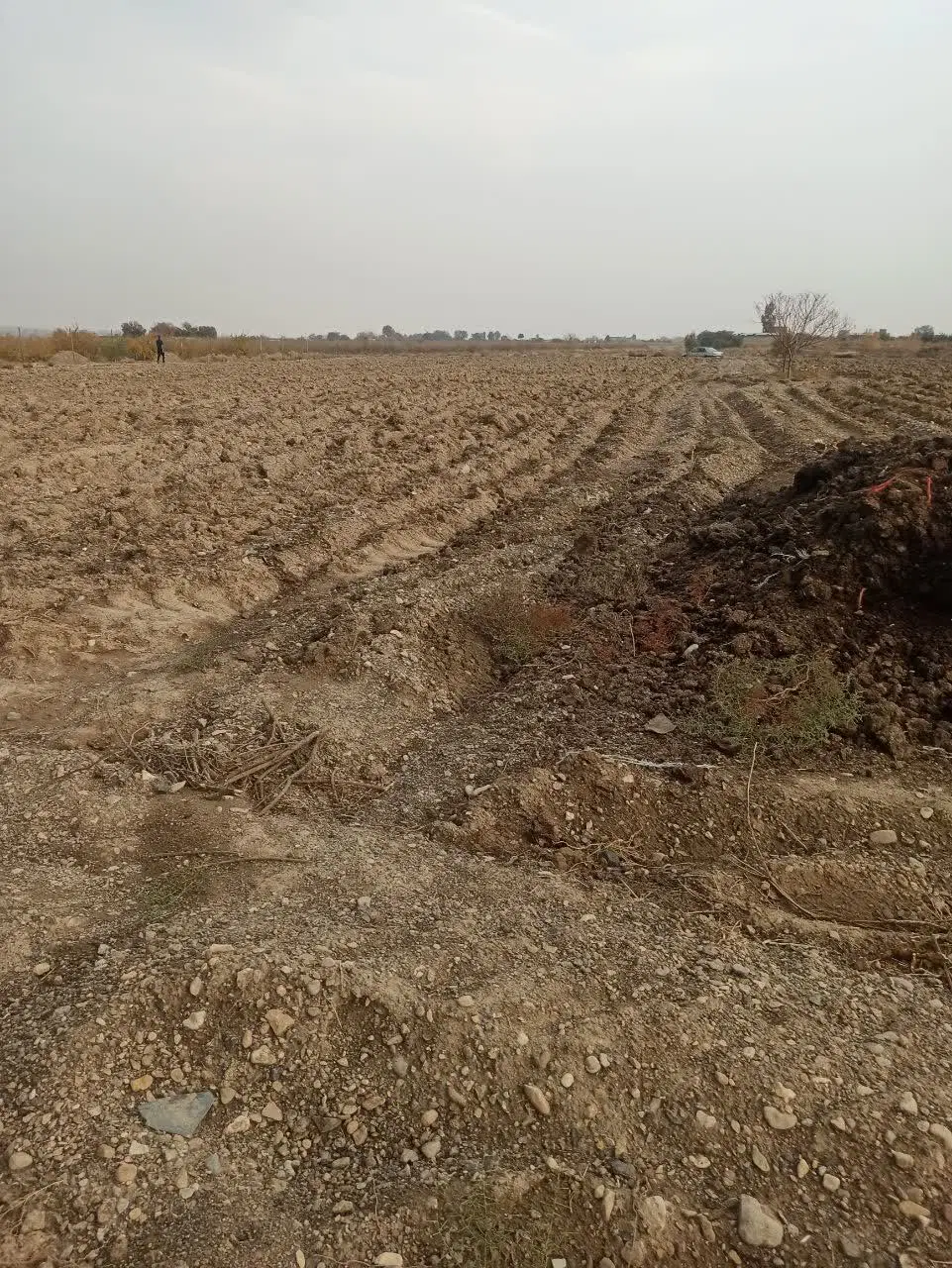 زمین کشاورزی با اب موتور