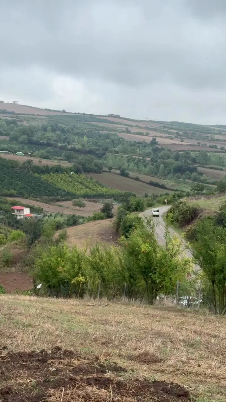 زمین خوش‌آب‌وهوا و خوش‌ویو کنار آسفالت جامخانه