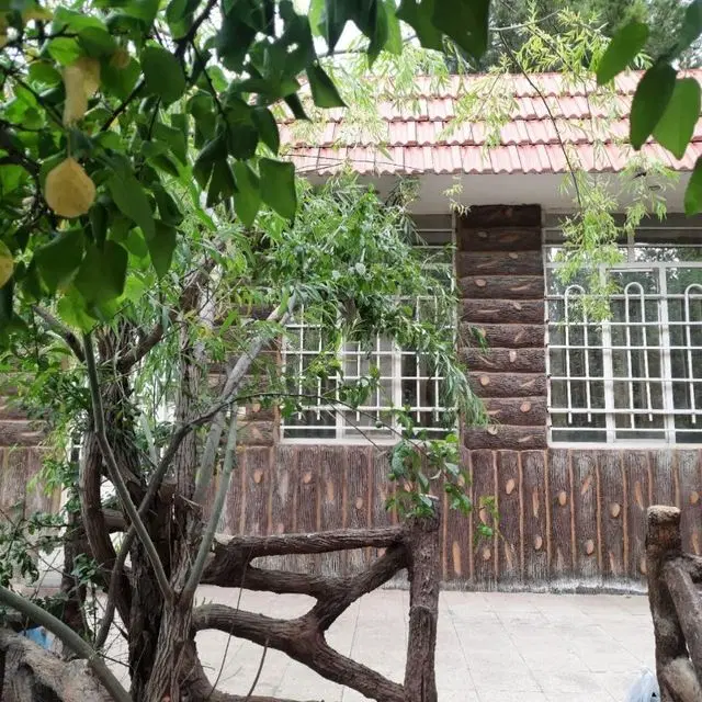 باغ زمین