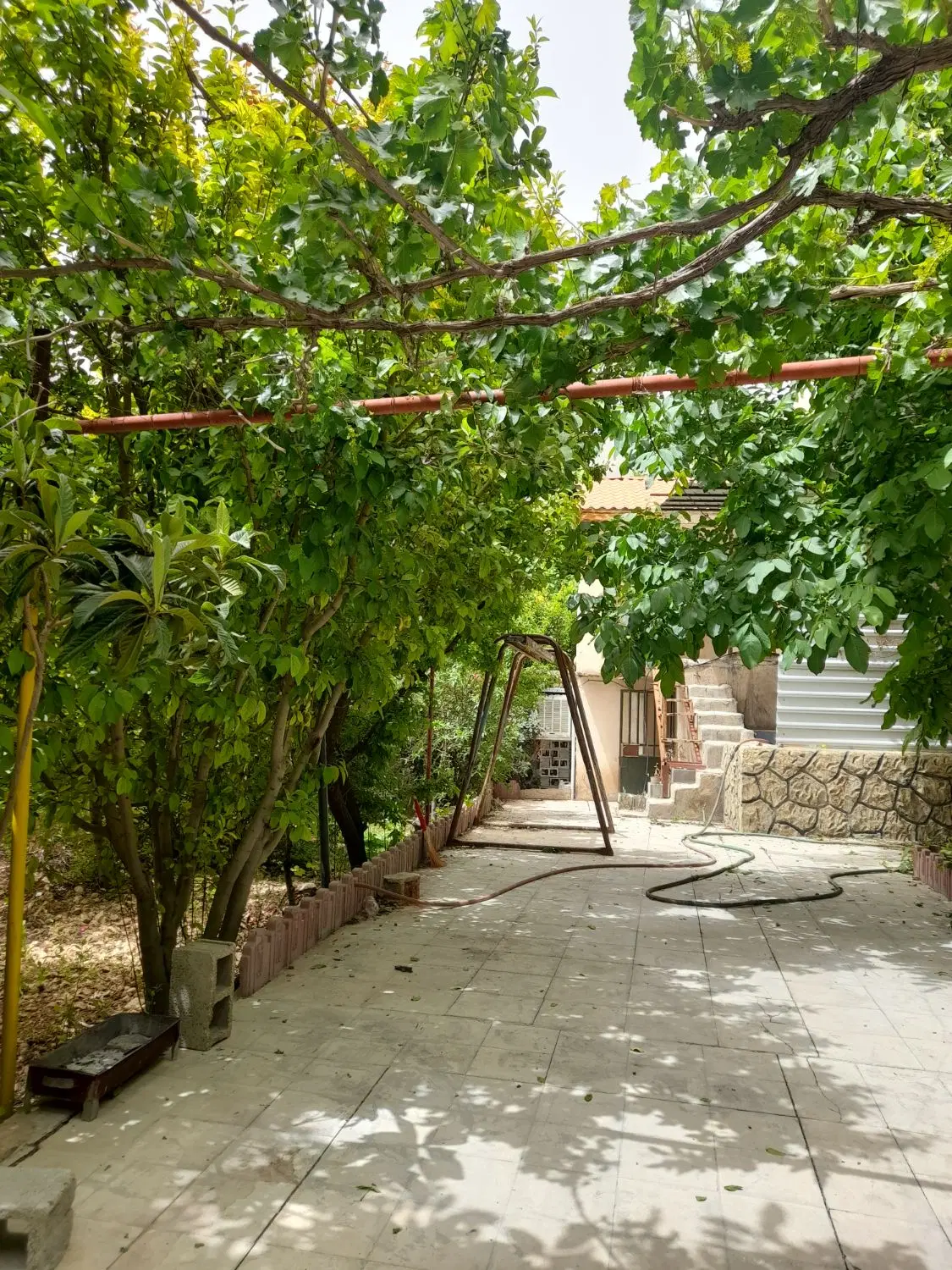 فروش زمین باغی در خالداباد