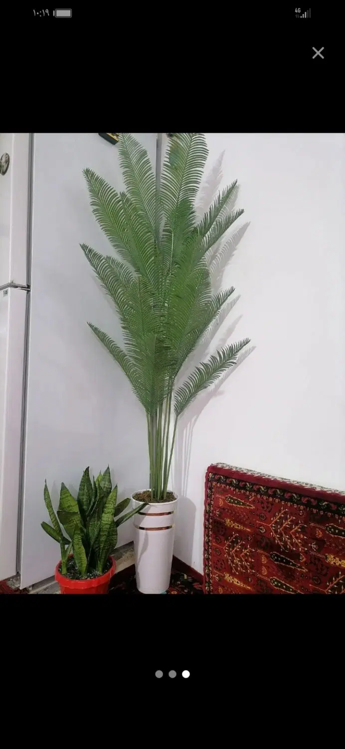 اجاره خانه دربست