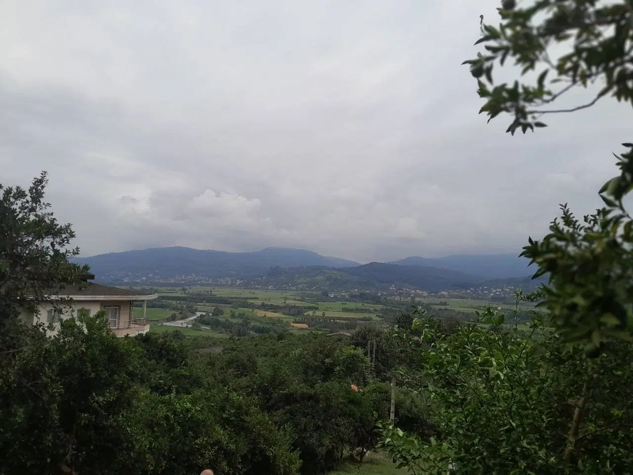 زمین فروشی