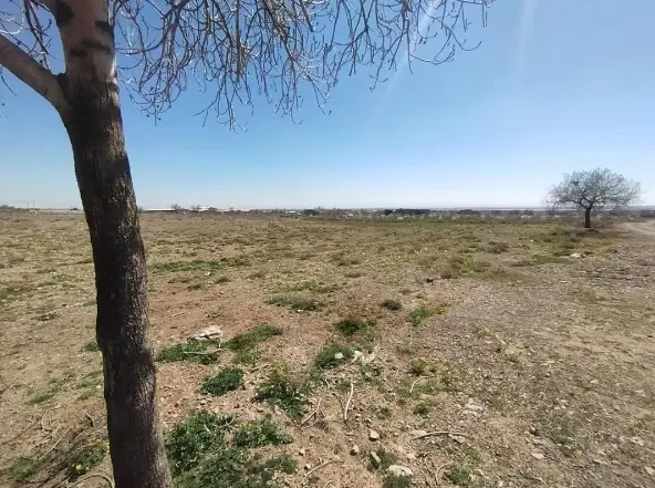 زمین فروشی
