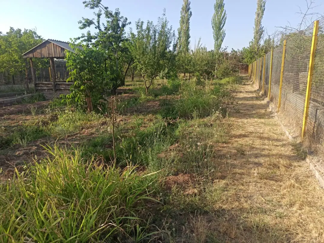 باغ  بحر جاده کورانه، کوچه اختصاصی