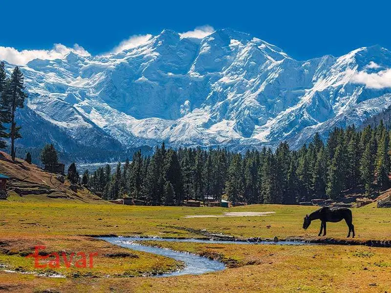 ۱۵۰۰ متر زمین دونبش زعفرانیه